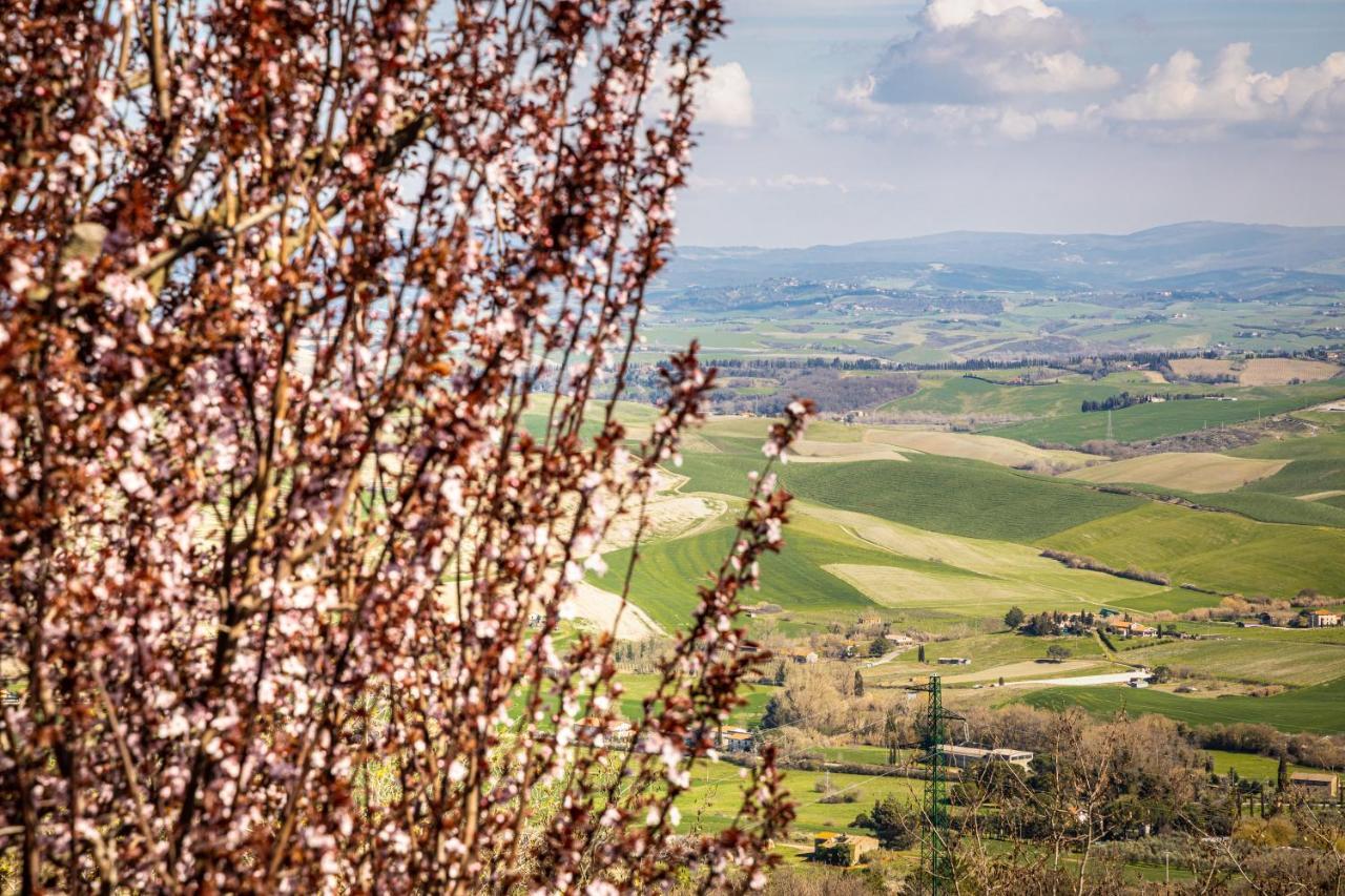 Agri Apartment La Terrazza La Ripadoro Chianni Eksteriør bilde